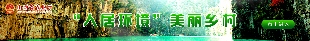 人居环境 美丽乡村